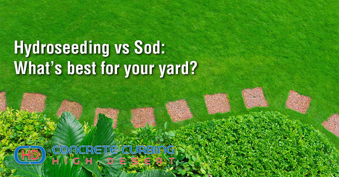 Hydroseeding vs Sod: What's best for your yard? - CONCRETE ...